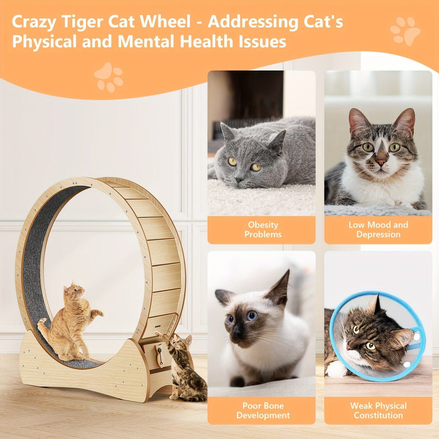 Roue d’exercice XL pour chat – Bois naturel, silencieuse & stable