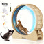 Roue d’exercice XL pour chat – Bois naturel, silencieuse & stable