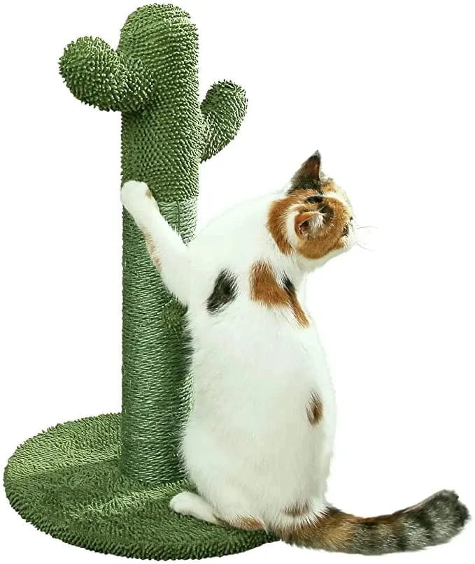Poteau à griffer cactus pour chat – Sisal naturel & jouet interactif