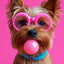 Affiche chien coloré Bubblegum – Samoyède, bouledogue, Corgi déco murale PawLuxe™