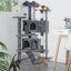 Grande maison pour chatons et chats – Tour condo avec griffoirs