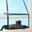 Hamac de fenêtre pour chat – Lit suspendu 2 étages avec ventouses