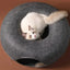 Lit Donut en feutre 2-en-1 pour chat & chien – Tunnel interactif