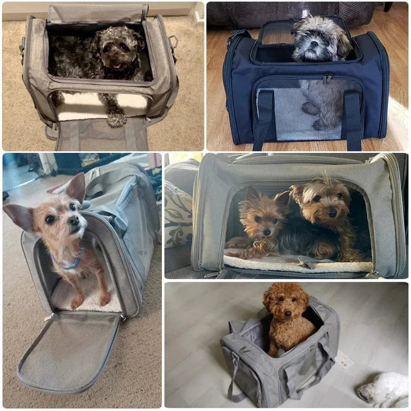 Sac de Transport pour Chien & Chat – Sac à Dos Latéral Souple, Voyage & Avion ✈ | Transport Animaux de Compagnie Confortable et Sécurisé