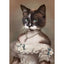 Affiche drôle chat Royal Renaissance – Art mural déco maison salon