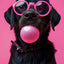 Affiche chien coloré Bubblegum – Samoyède, bouledogue, Corgi déco murale PawLuxe™