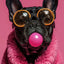 Affiche chien coloré Bubblegum – Samoyède, bouledogue, Corgi déco murale PawLuxe™