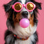 Affiche chien coloré Bubblegum – Samoyède, bouledogue, Corgi déco murale PawLuxe™