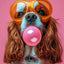 Affiche chien coloré Bubblegum – Samoyède, bouledogue, Corgi déco murale PawLuxe™