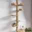 Maison d’arbre réglable chat – Tour du sol au plafond avec hamac