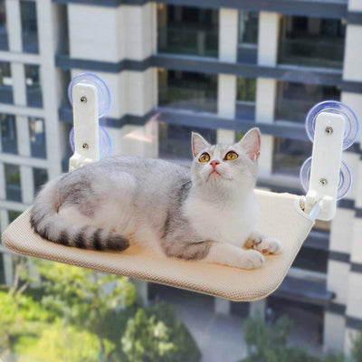 Hamac pliant pour chat – Plateforme fenêtre murale avec double ventouse