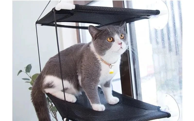 Hamac de fenêtre pour chat – Lit suspendu 2 étages avec ventouses