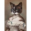 Affiche drôle chat Royal Renaissance – Art mural déco maison salon
