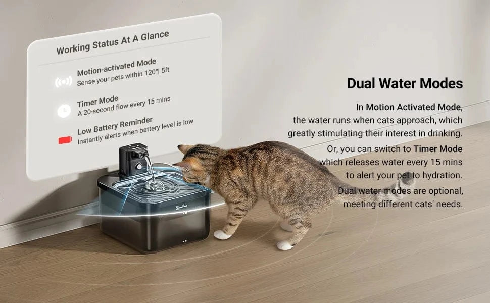 Fontaine eau automatique 2,5L inox – Distributeur sans fil