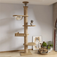 Maison d’arbre réglable chat – Tour du sol au plafond avec hamac