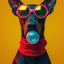 Affiche chien coloré Bubblegum – Samoyède, bouledogue, Corgi déco murale PawLuxe™