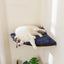 Arbre à chat mural – Étageres bois, griffoirs, hamac et perchoirs solides