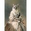 Affiche drôle chat Royal Renaissance – Art mural déco maison salon