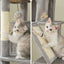 Grand arbre à chat 180cm – Tour avec hamac, griffoir sisal, jouets