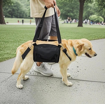 Harnais de soutien chien âgé – Aide marche & récupération