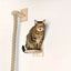 Arbre à chat mural – Étageres bois, griffoirs, hamac et perchoirs solides