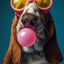 Affiche chien coloré Bubblegum – Samoyède, bouledogue, Corgi déco murale PawLuxe™
