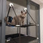 Hamac de fenêtre pour chat – Lit suspendu 2 étages avec ventouses