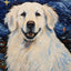 Affiche animaux mignons nuit étoilée – Art mural abstrait déco salon PawLuxe™ 5 / 20X30cm One PETS-TOP