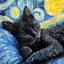 Affiche animaux mignons nuit étoilée – Art mural abstrait déco salon PawLuxe™ 4 / 20X30cm One PETS-TOP