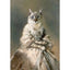 Affiche drôle chat Royal Renaissance – Art mural déco maison salon - One PETS - TOP