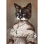 Affiche drôle chat Royal Renaissance – Art mural déco maison salon - One PETS - TOP
