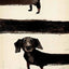 Affiche teckel Ryszard Kaja Horn – Art mural polonais déco salon - One PETS - TOP