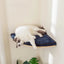 Arbre à chat mural – Étageres bois, griffoirs, hamac et perchoirs solides - One PETS - TOP