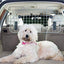 Grille De Séparation Pour Chien En Métal À Fixer Aux Appuis-Tête - One PETS-TOP