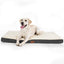 One Pets-Top Coussin Chien Grande Taille Dehoussable - Tapis Chien Orthopédique 112X81X7.6Cm- Lit Pour Chien En Mousse Avec Revêtement De Peluche - Matelas Pour Chien Lavable Et Antidérapant - One PETS-TOP