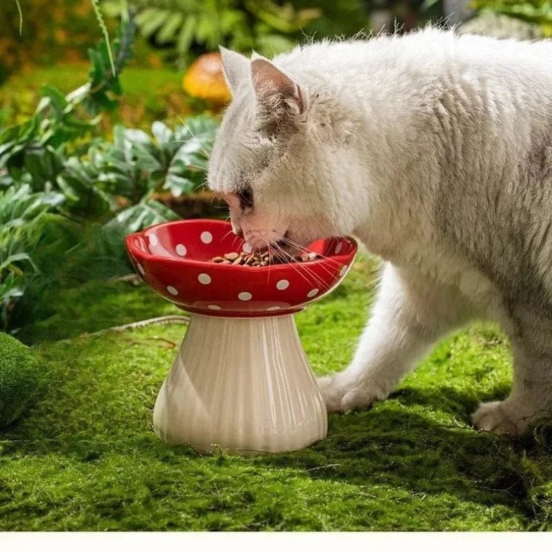 Bol champignon pour chat – Gamelle décorative en résine & design ergonomique - One PETS - TOP