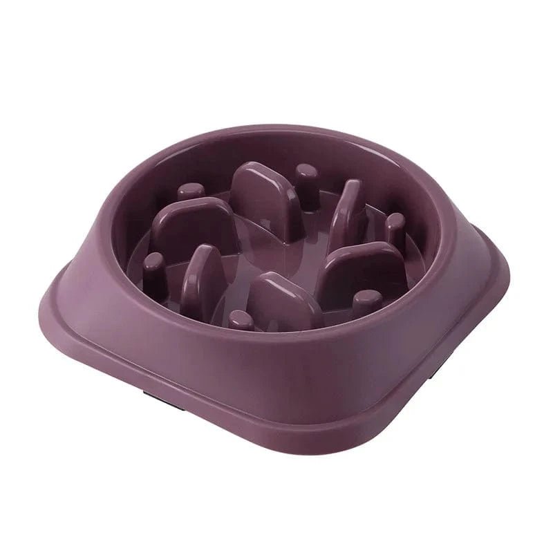 Bol nourriture lente anti - étouffement pour chiens et chats – Multicouleurs - One PETS - TOP