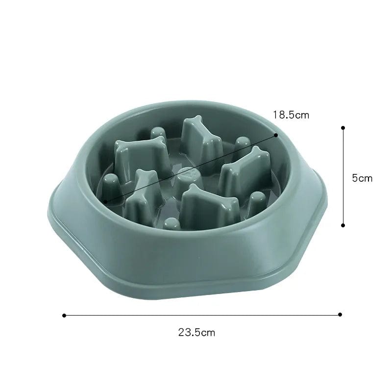 Bol Slow Food Pour Chiens Et Chats 🐾 - One PETS - TOP