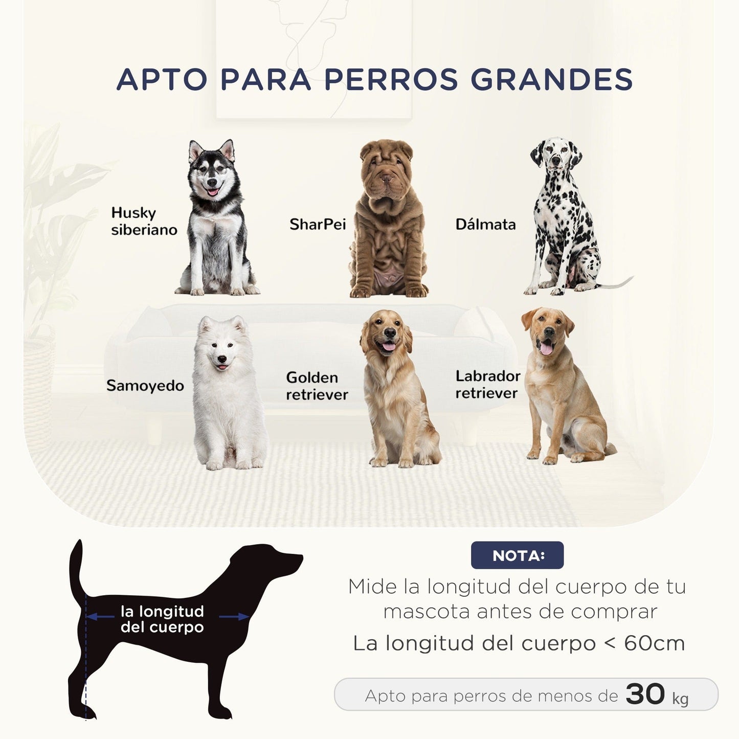 Canapé premium pour grand chien – Lit surélevé, coussin lavable, 30 kg Bleu One PETS-TOP