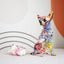 Chihuahua Pop Art Balloon Dog Sculpture 🎈🐶 - One PETS-TOP