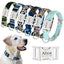 Collier Chien Chat Personnalisable Gravé Fleurs Bleues / L One PETS-TOP