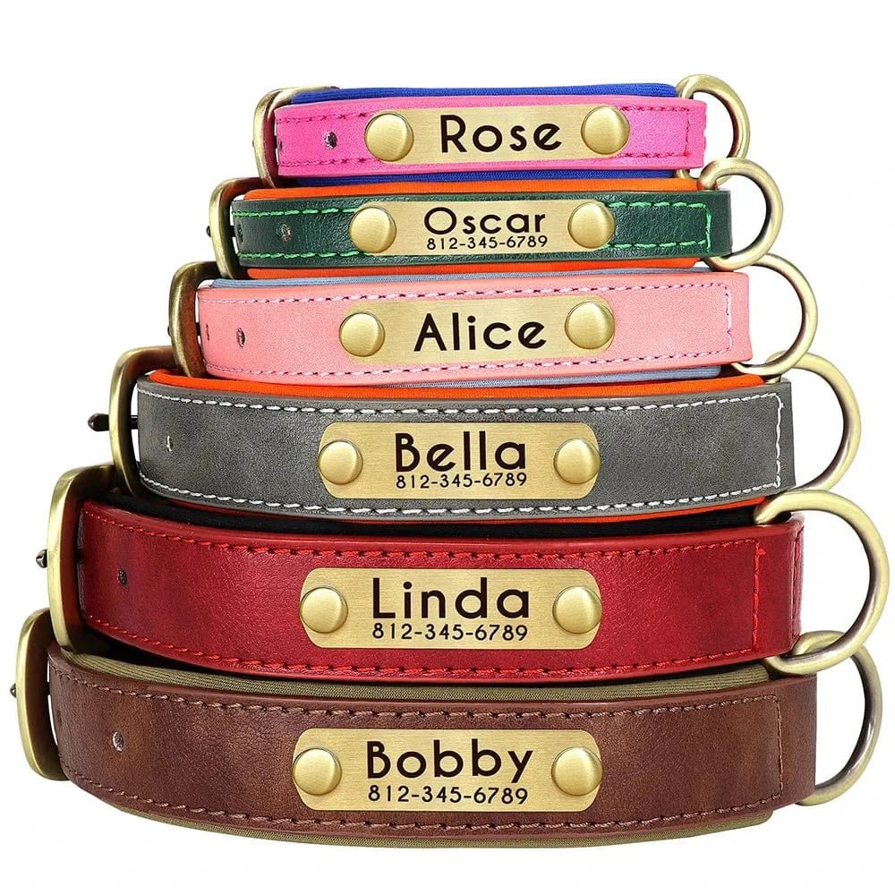🐾 Collier en Cuir Personnalisé pour Chien – Avec Plaque Gravée Nom & Téléphone - One PETS - TOP