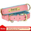 🐾 Collier en Cuir Personnalisé pour Chien – Avec Plaque Gravée Nom & Téléphone - One PETS - TOP