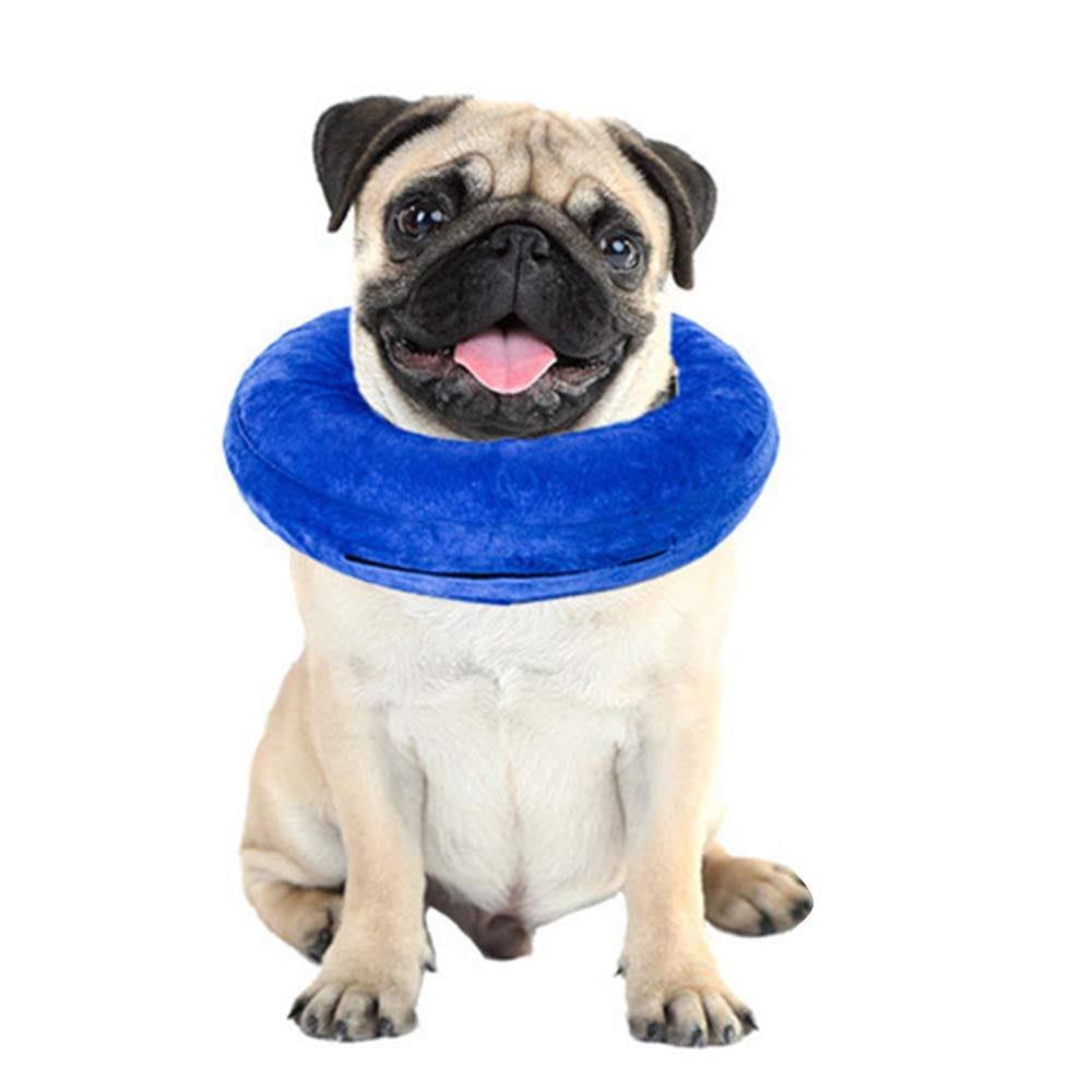 Collier Gonflable De Récupération Rétablissement Protecteur Doux Pour Chiens Et Chats Xh003 (L, Grey) - One PETS - TOP