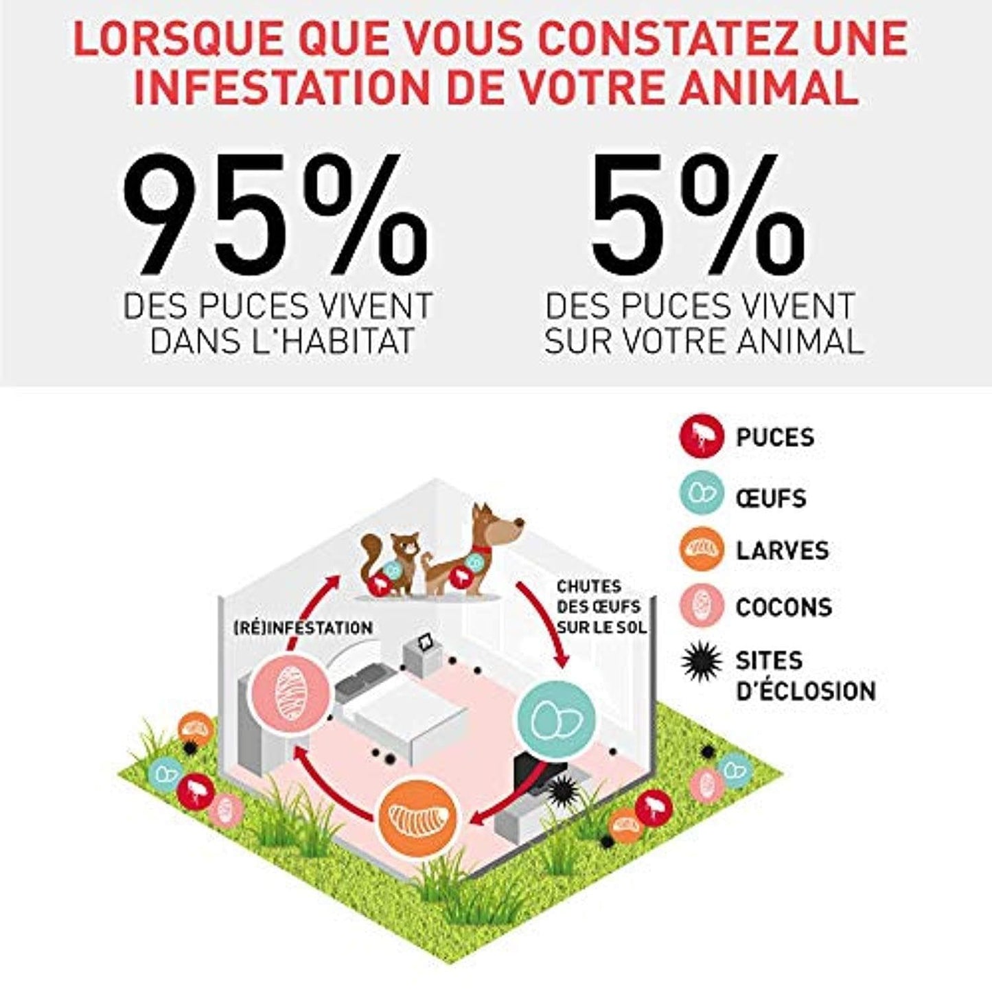 Combo Chat - Anti - Puces Et Anti - Tiques Pour Chat - 6 Pipettes - One PETS - TOP