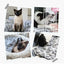 Couverture douce pour chien & chat – Tapis moelleux chaud et confortable - One PETS - TOP