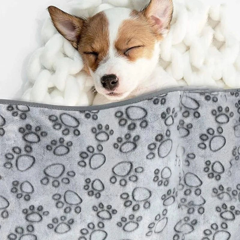 Couverture douce pour chien & chat – Tapis moelleux chaud et confortable - One PETS - TOP