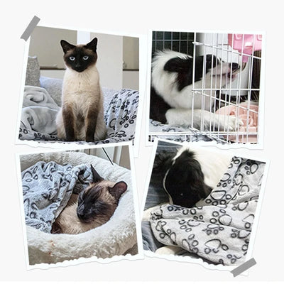 Couverture douce pour chien & chat – Tapis moelleux chaud et confortable One PETS-TOP
