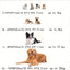 Lit ovale pour chien & chat – Coussin orthopédique toutes saisons