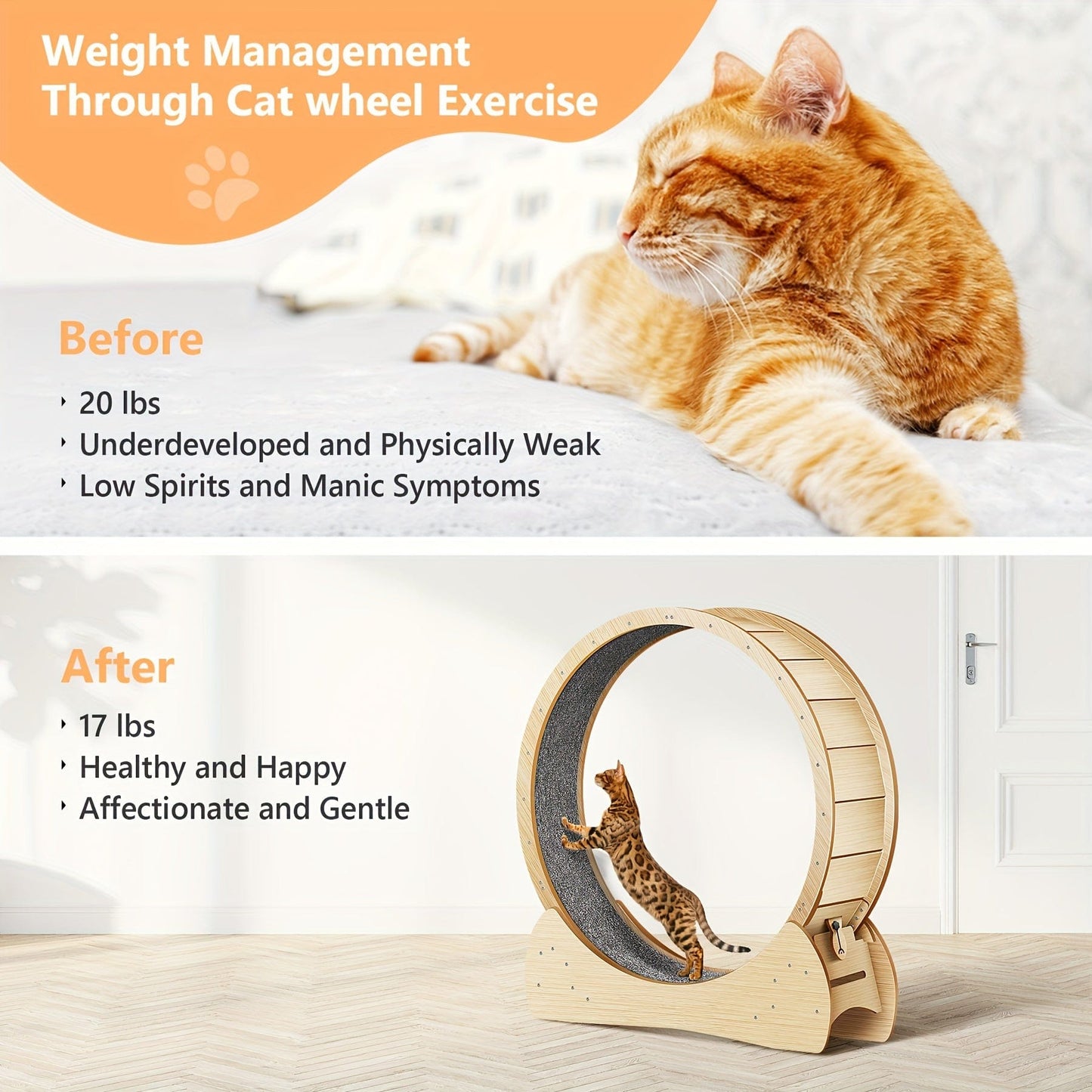 Roue d’exercice XL pour chat – Bois naturel, silencieuse & stable